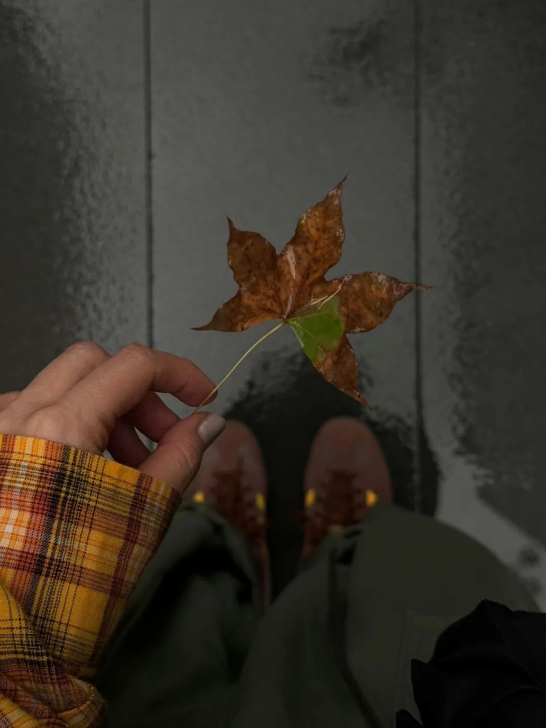 🌧️Rainy Days“又是一地落叶黄 ，一场秋雨一场凉🍂。” ​​​