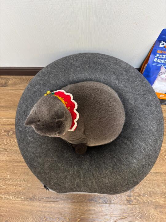 满满当当