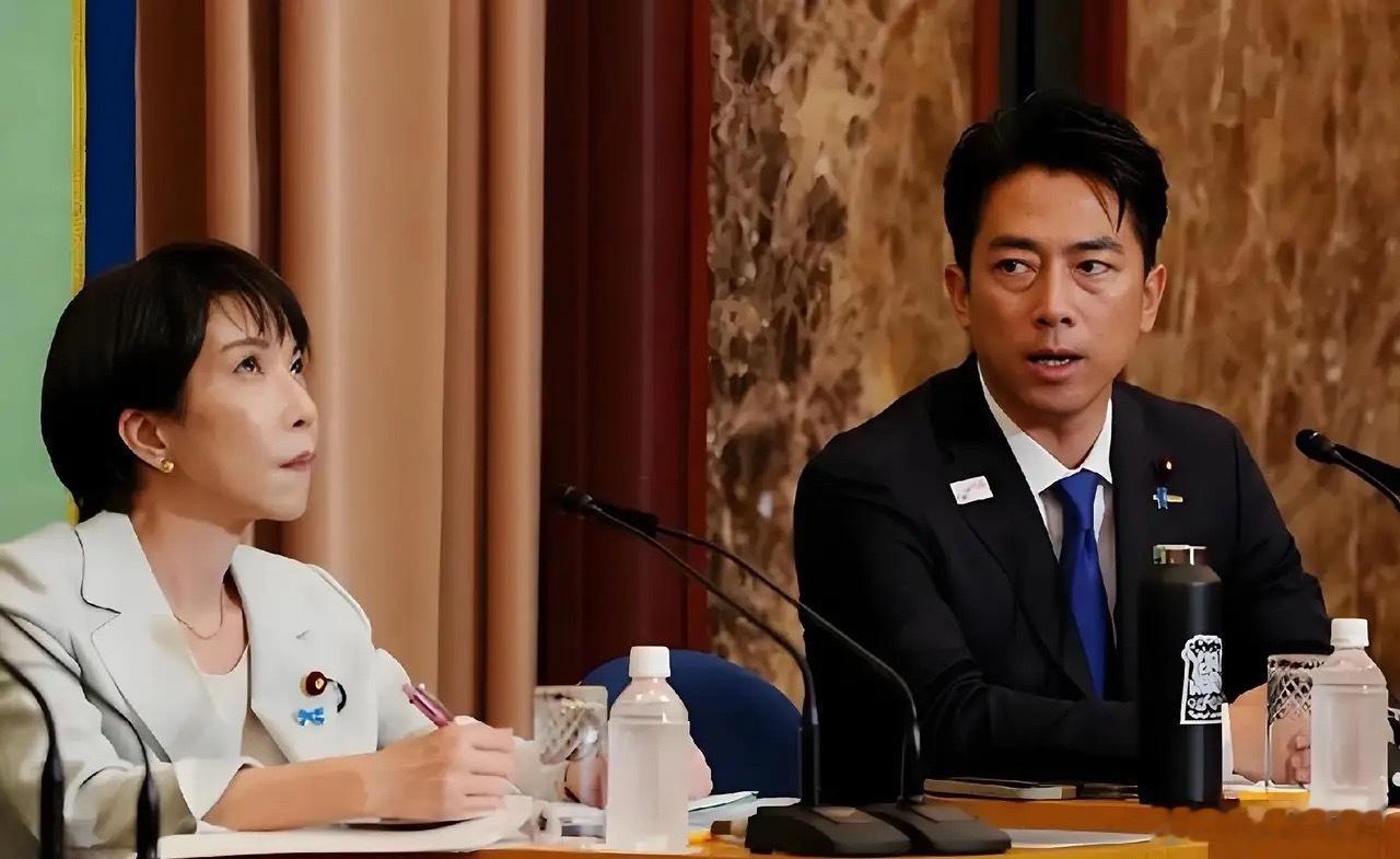 日本在4月21日刚刚修订所谓“防卫装备转移三原则”，放宽杀伤性武器出口限制，其政