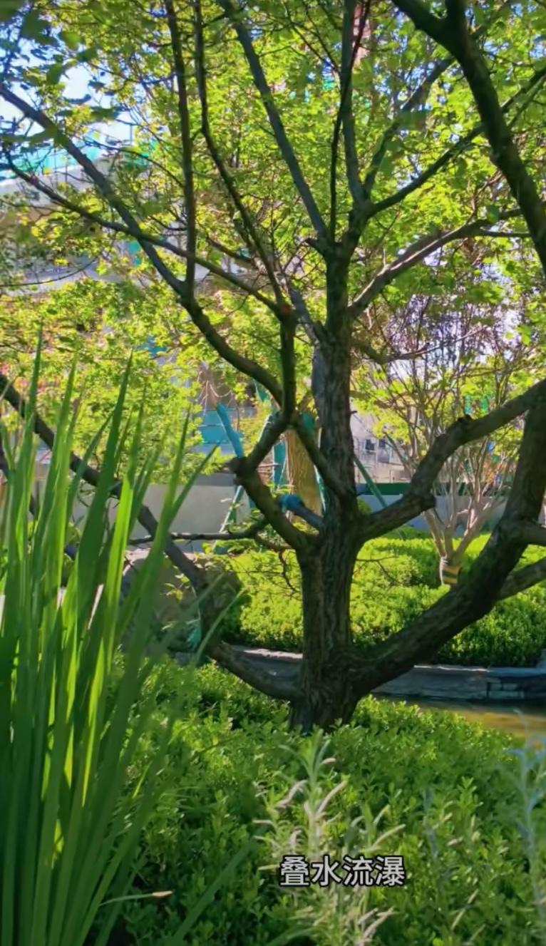 开工第一天！北京二手房市场以“三升一降”拉开序幕！

春节小长假结束！

归家团