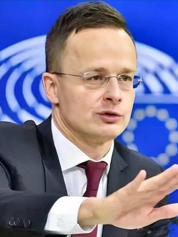 就在刚刚
匈牙利外长宣布
10月27日，匈牙利外交与对外经济部长西雅尔多·彼得在