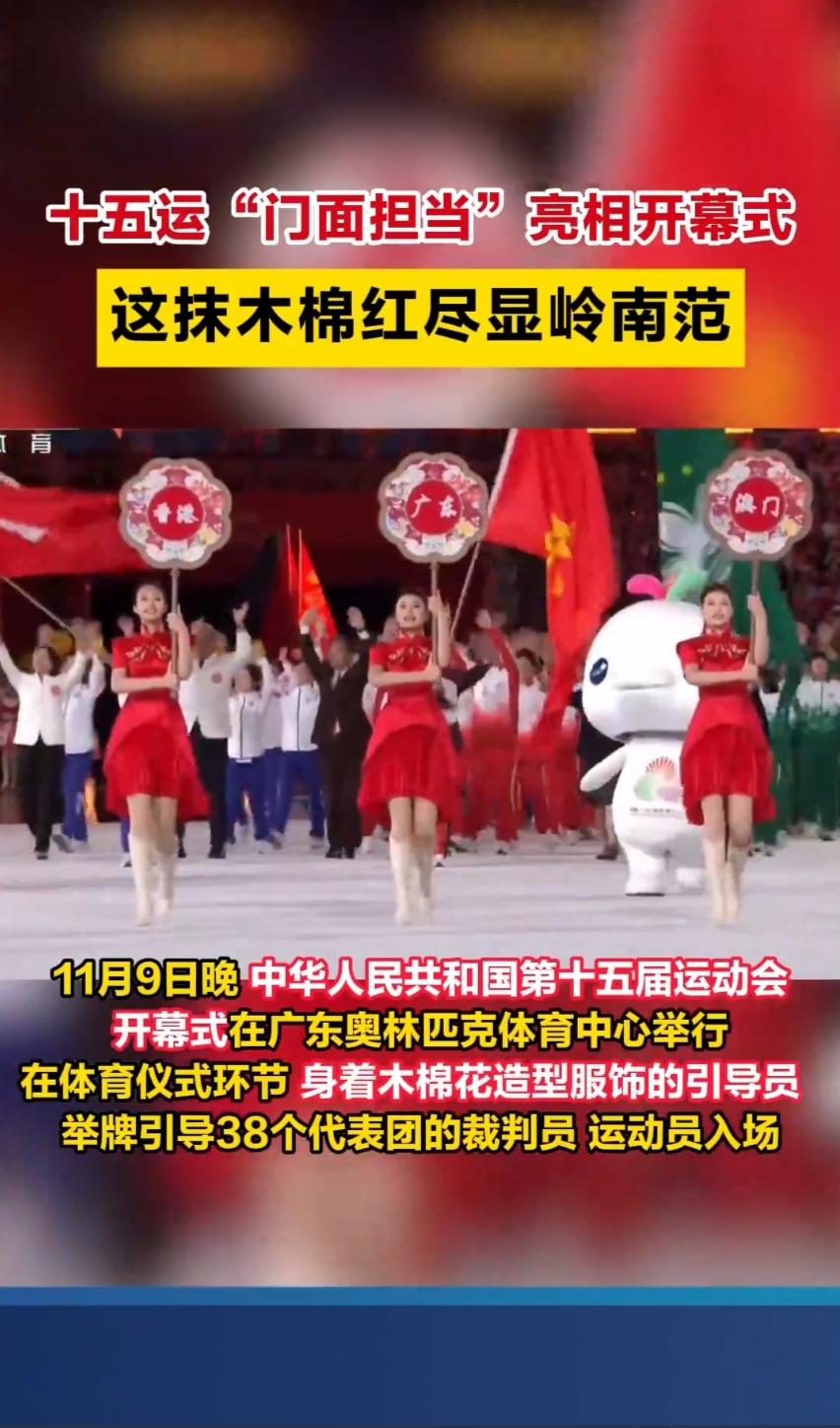 11月9日晚，中华人民共和国第十五届运动会开幕式在广东奥林匹克体育中心举行。在体