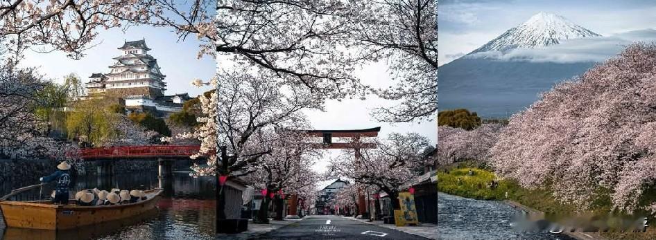 日本观光局最新公布数据显示，2026年1月到访日本的外国旅客数量为359万750