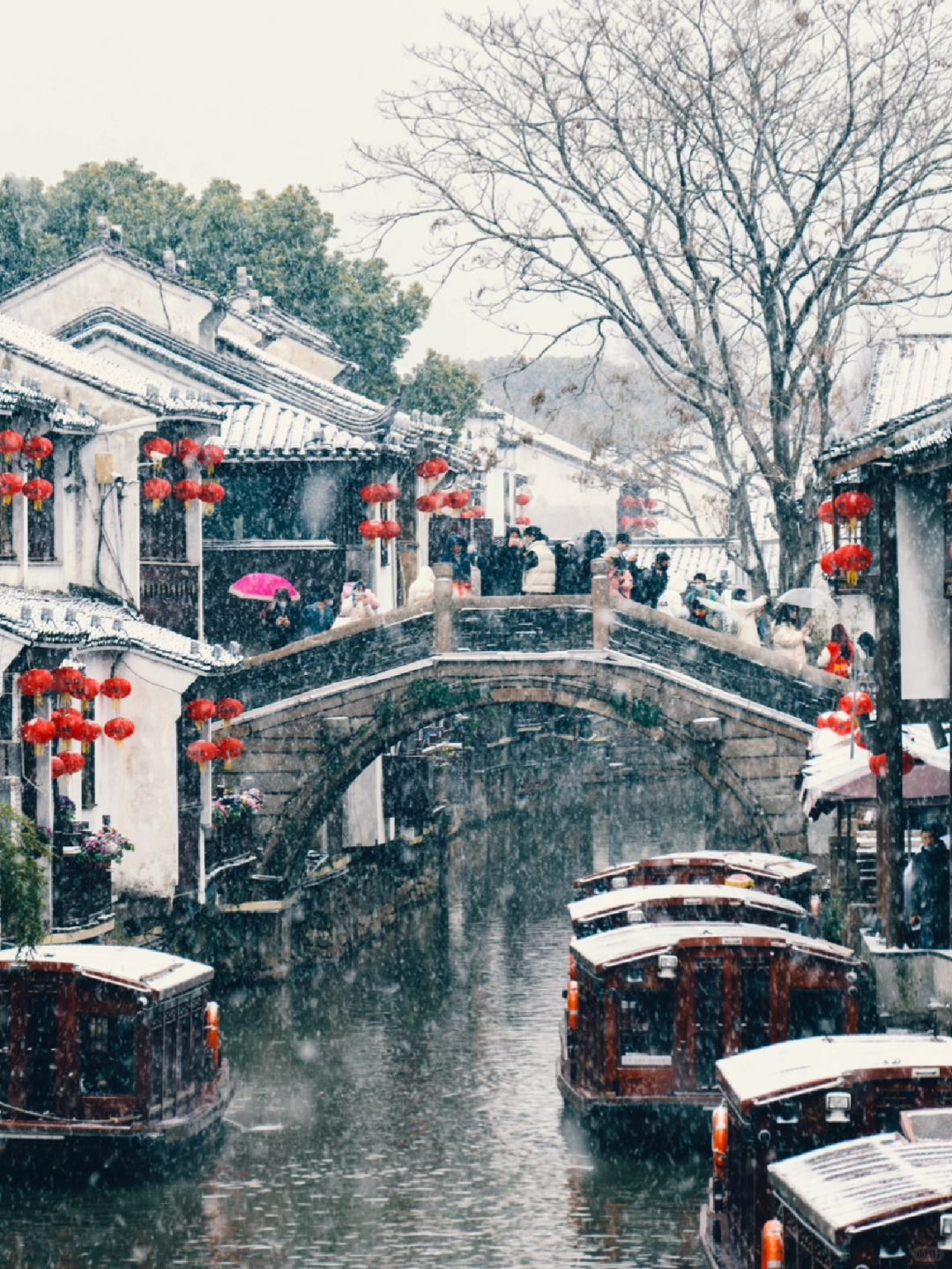 离开腾讯定居苏州，我常说人间值得‼️