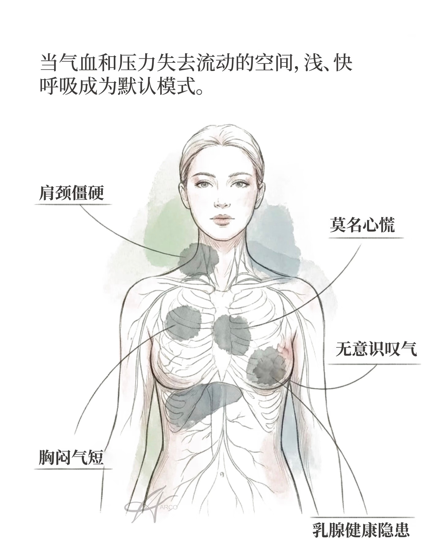 女生多练支撑类动作 
