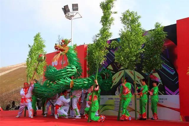 谁懂竹子突然变成龙的震撼查了一下资料，关于竹叶龙，让人相当震撼，这是安吉特有的非