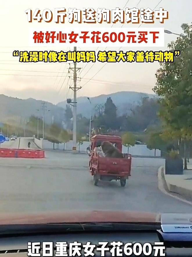 我的天！重庆罗大姐这手操作，看完直想给她鼓掌！
 
3月5号那天，她撞见个大爷正