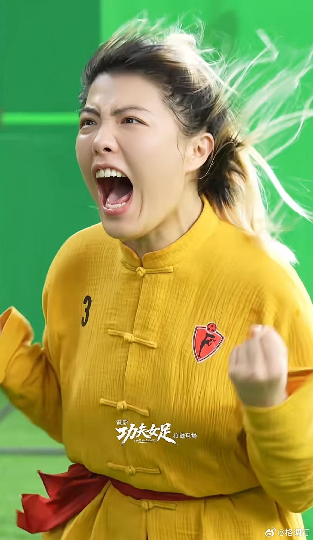 功夫女足破20亿全员复刻名场面 热烈庆祝《功夫女足》抵达20亿票房里程碑！主创集