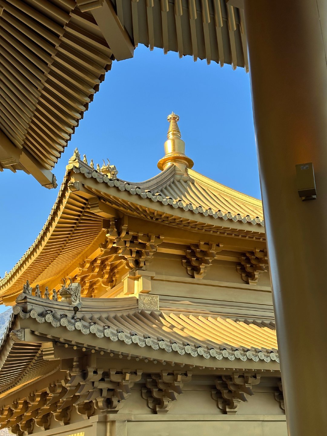 大年初一，新年快乐 大概有一半宁波人在弥勒圣坛  成功挤上。⚠️宁波人的优惠价格
