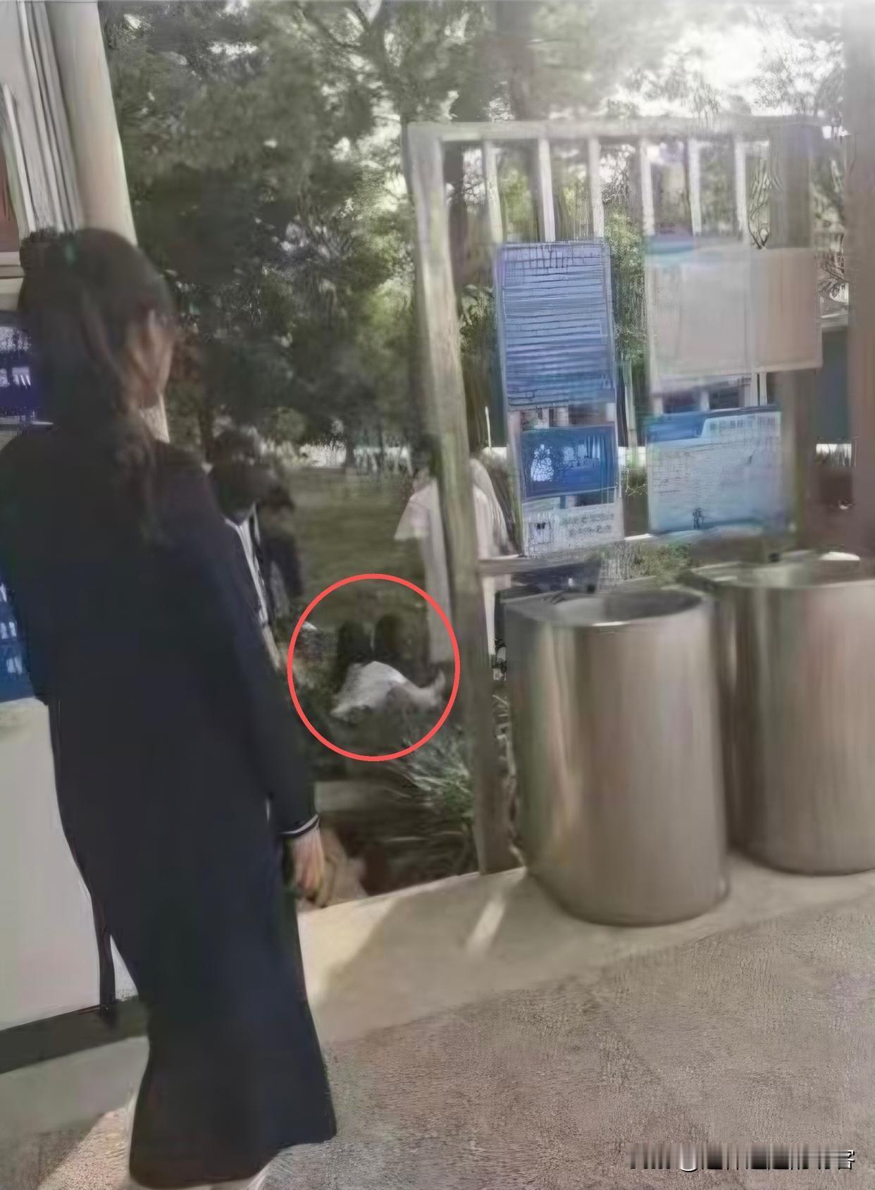 官方：已脱离生命危险近日，云南楚雄州姚安县发生一起引发全网关注的教师轻生事件，姚