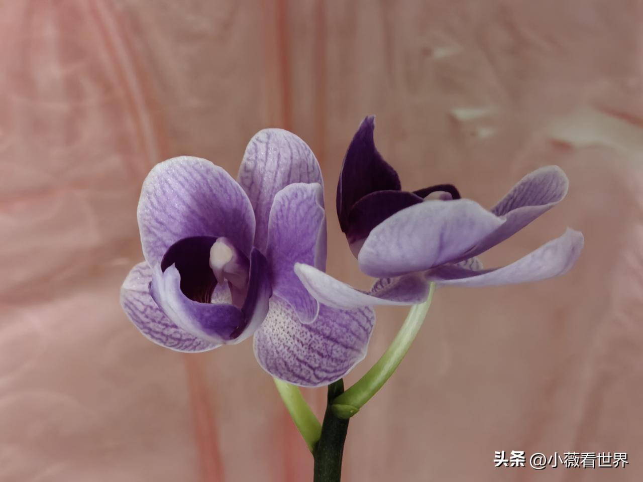 今天去医院看左腿疼回来的半路上，就有一家私人的口腔医院，便进去看了看。

地方不