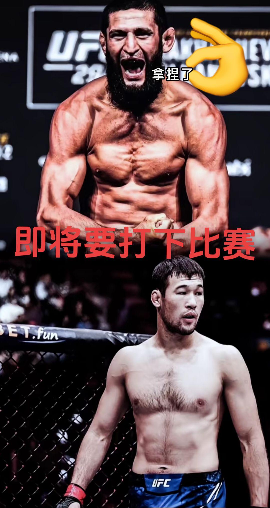 创作灵感 综合格斗 ufc 沙夫卡特ufc骑马 ufc巅峰对决