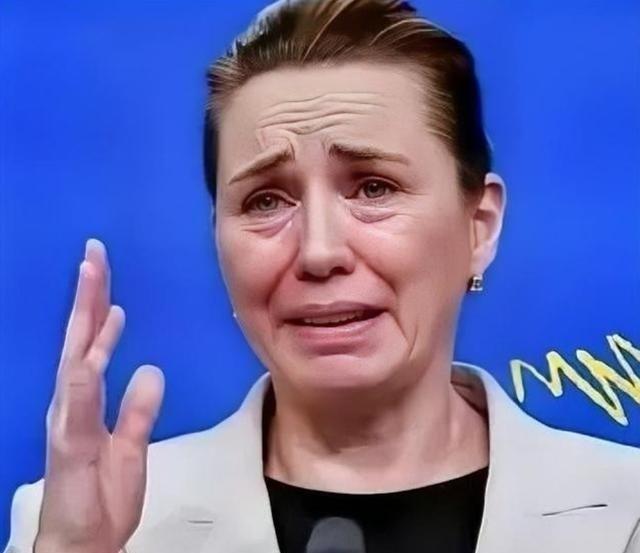 丹麦政府痛恨中国，丹麦的外交大臣拉斯穆森表示，过去不允许中国对格陵兰岛投资，现在