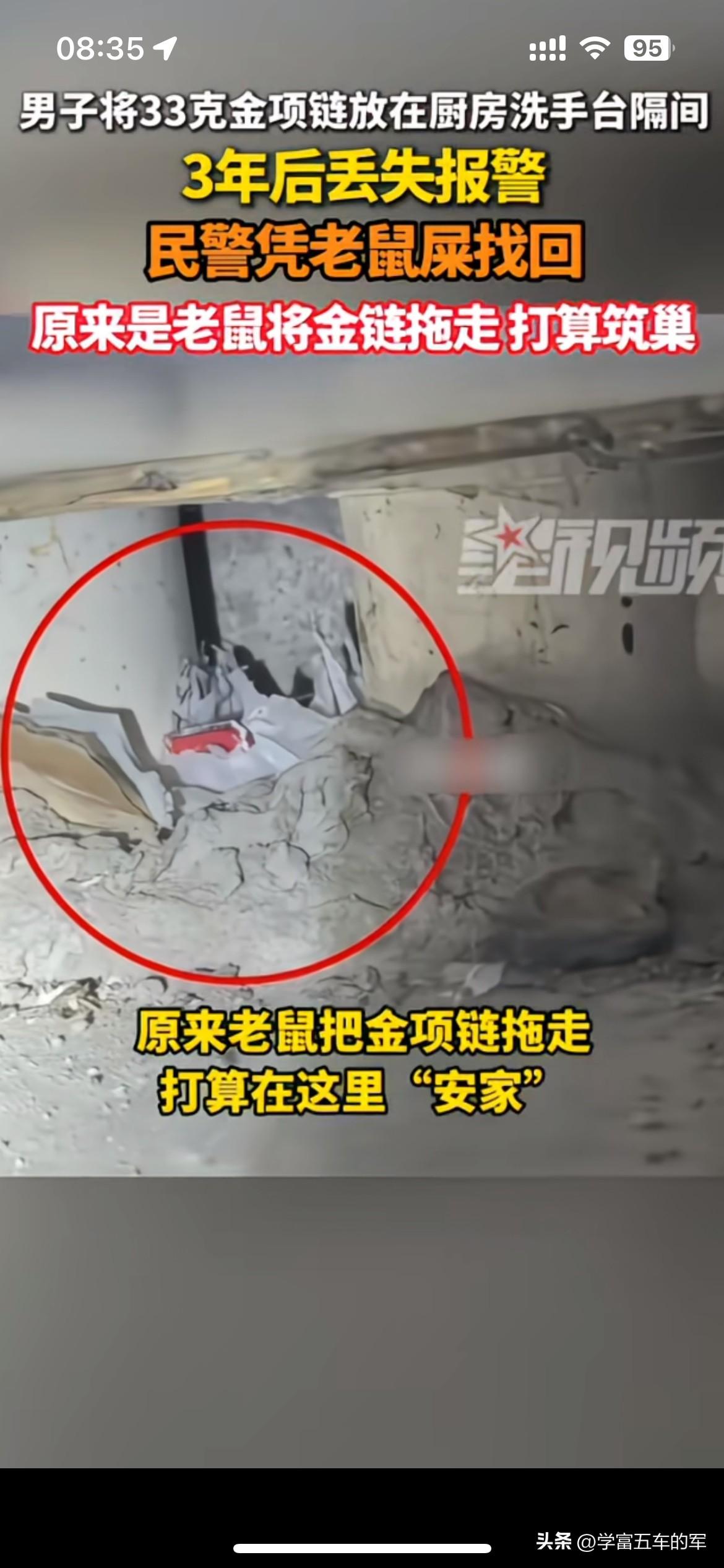 金项链失踪三年，顺着老鼠屎找回来了

男子把一条33克的金项链随手放在厨房洗手台
