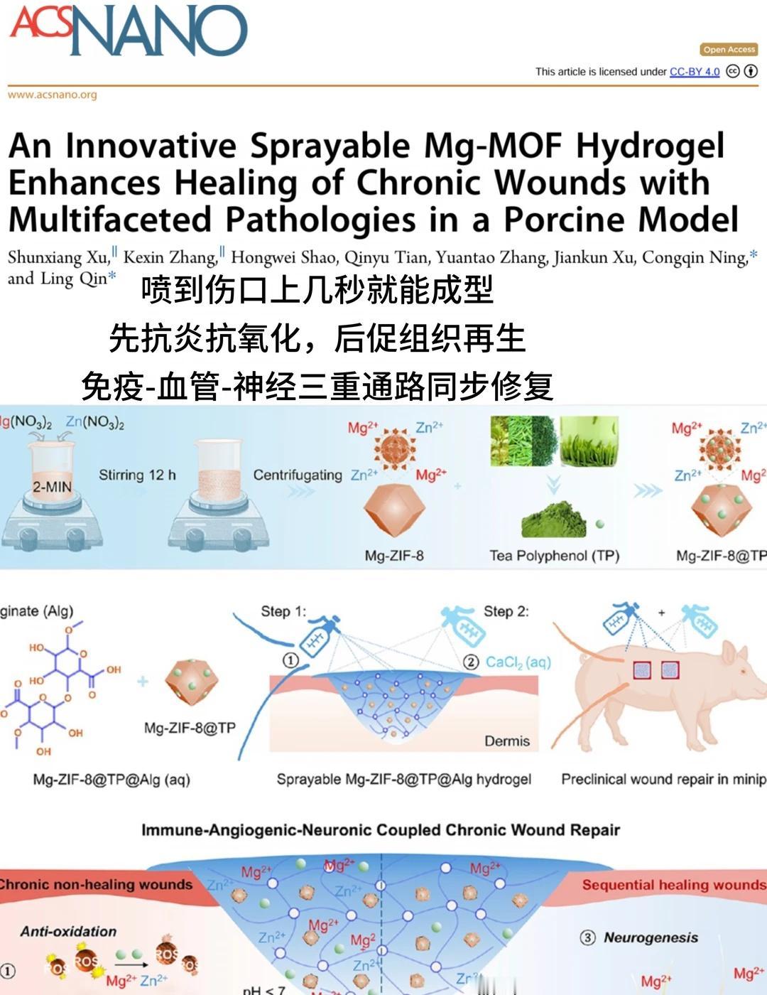 可喷涂 MOF-水凝胶 难愈合慢性创面
❗️针对慢性创面病理周期做材料设计，而非