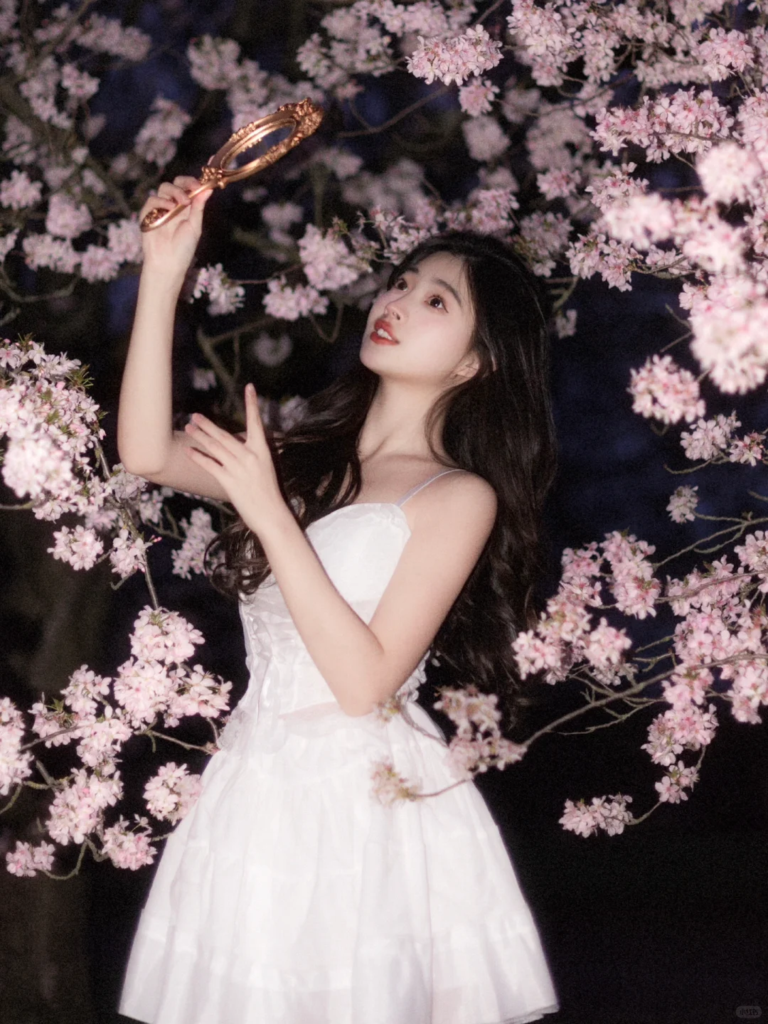 🌸夜樱好有氛围感！！！谁懂！