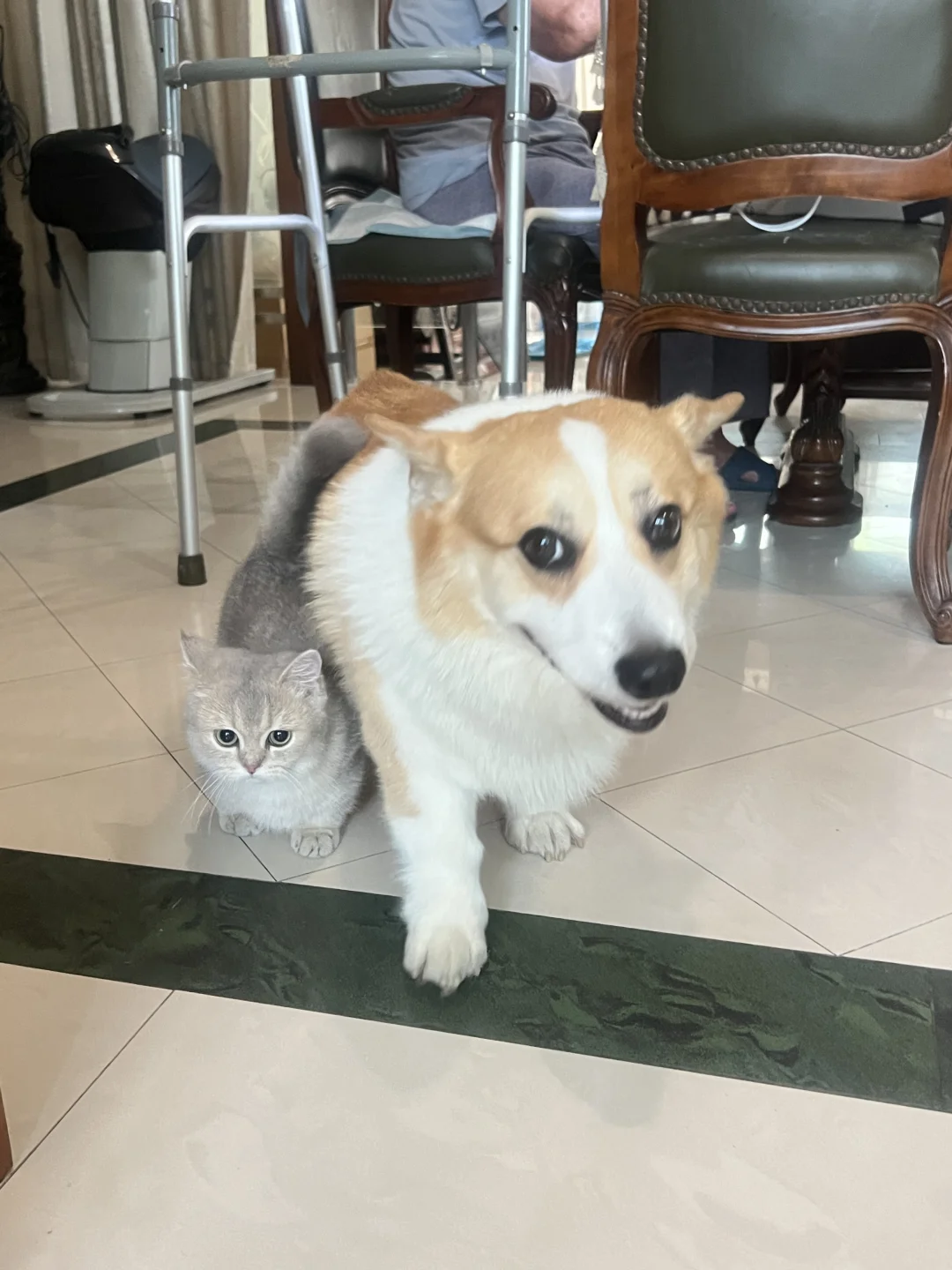 赤裸特工 不请自来