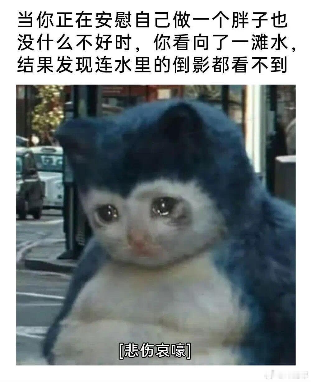 当一两个人说我胖时，我不以为然但是当越来越多的人说我胖时我知道了事情的严重性 —
