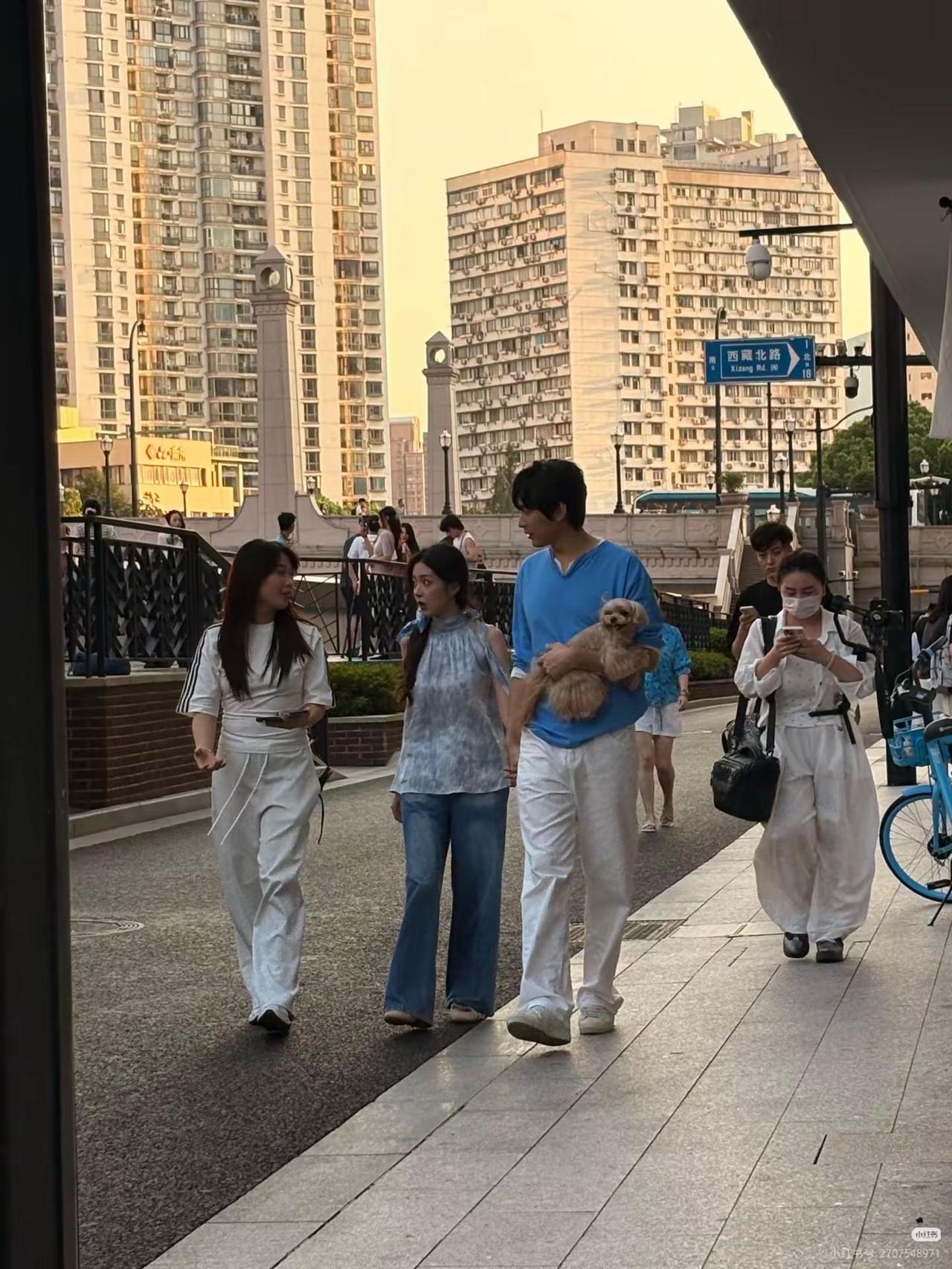 上海的街头偶遇柳周