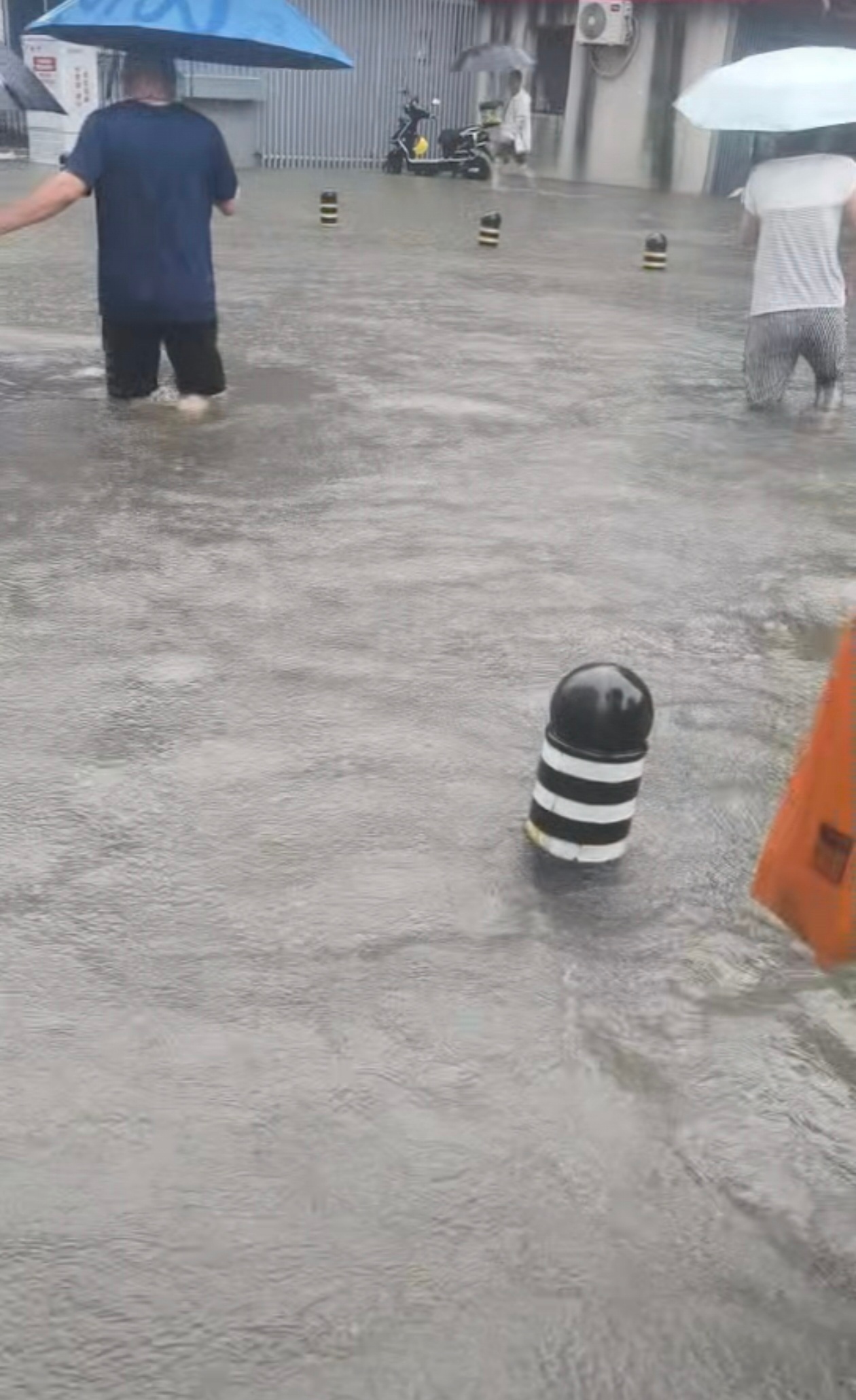 沈阳雨势不断加大朋友给我发的…大概就是快可以出门游泳的程度了… 
