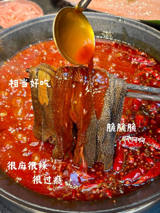 成都天廊！！近期超爱的火锅店🤤好吃S了