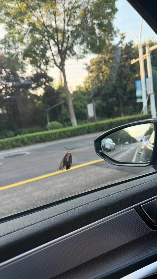 早上好 ​​​
