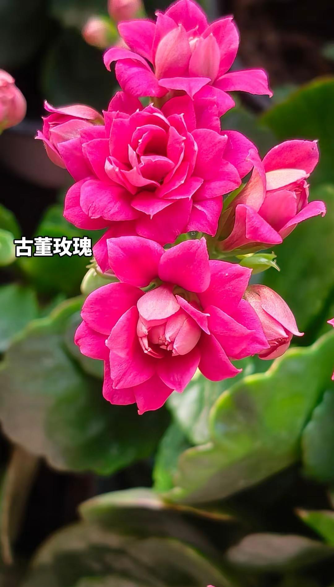 人静，心安，物简，知足！在喜欢的状态里生活，做你自己