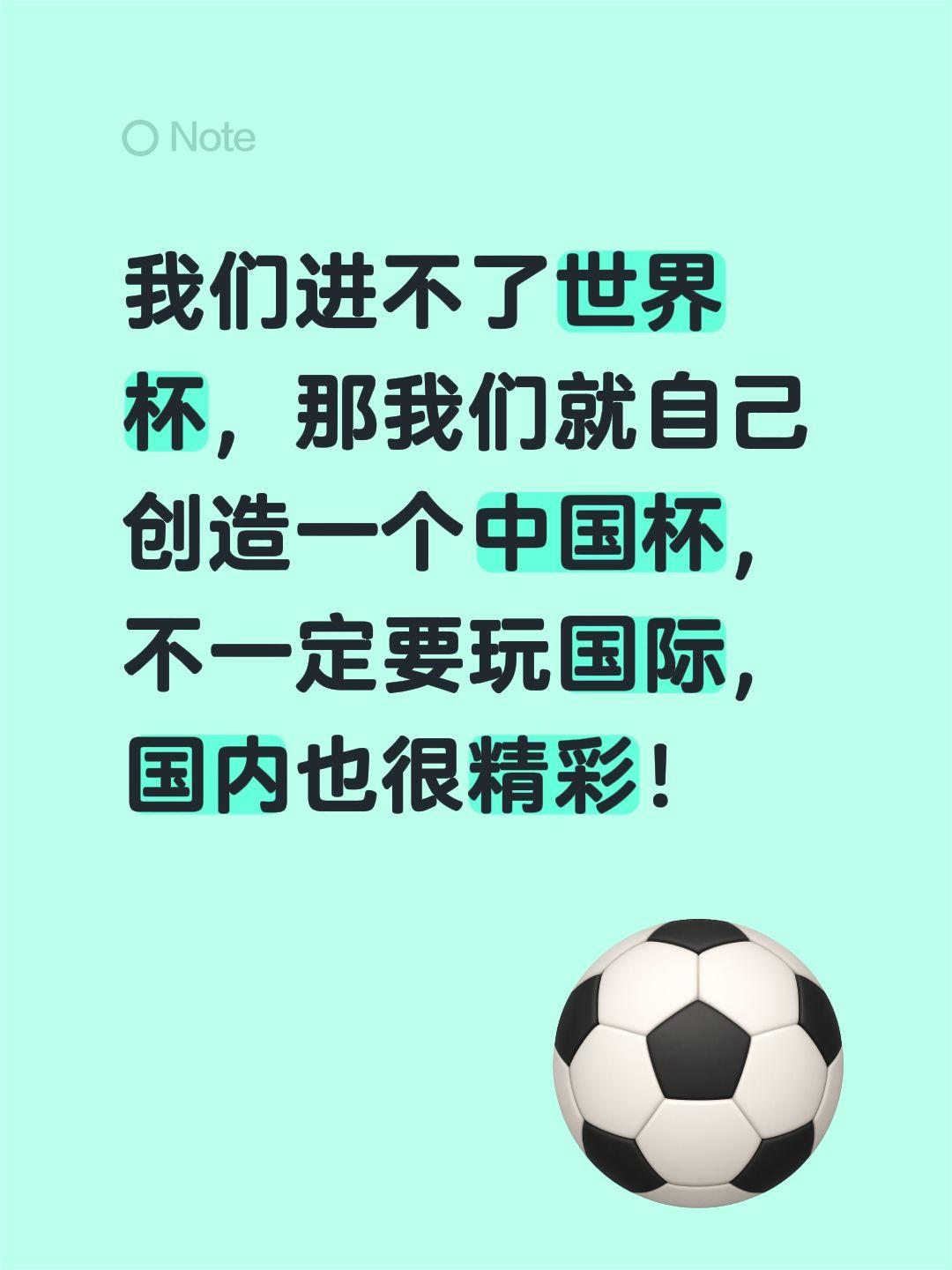 有道理！我们进不了世界杯，那我们就自己创造一个中国杯，不一定要玩国际，国内也很精