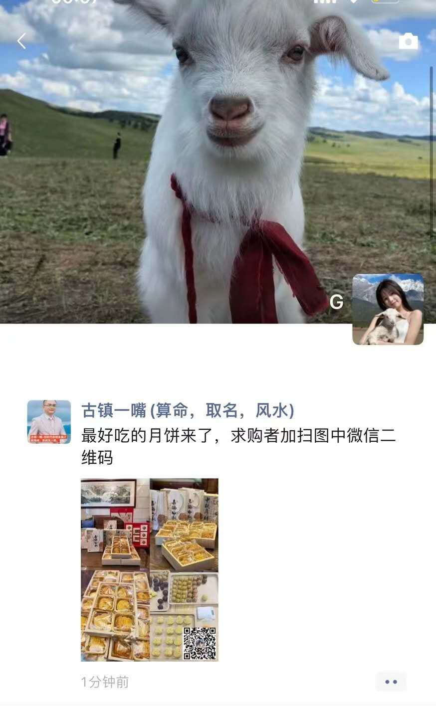 一场预制菜引发的血案：西贝倒闭倒计时！这个社会，谁比谁都聪明不了多少，耍小聪明的