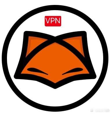 经常有粉丝私信我用的什么🪜（𝐕𝐏𝐍），给大家推荐一下Fastfox，稳定