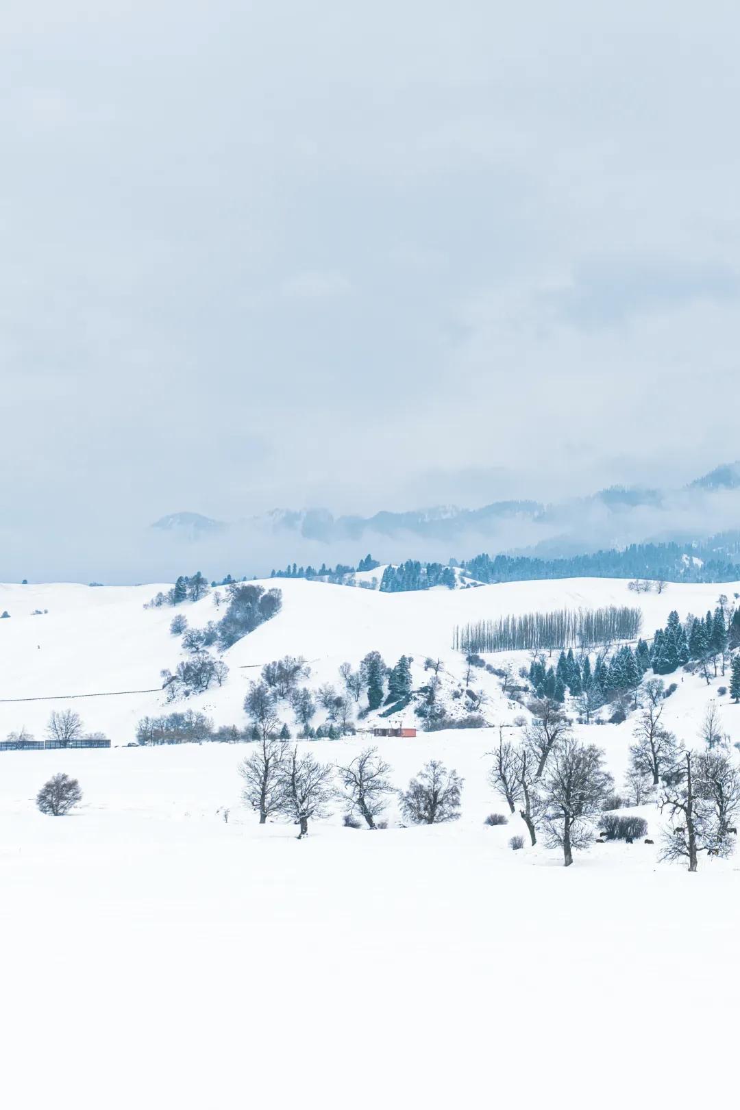 【人就像寒冬里的刺猬，互相靠得太近，会被刺痛；彼此离得太远，又会感觉寒冷】
  