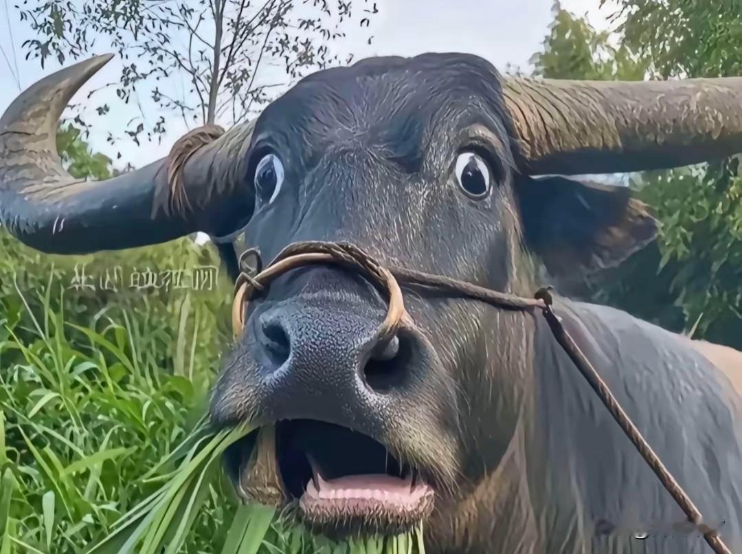 快来看看我新换的主页背景吧