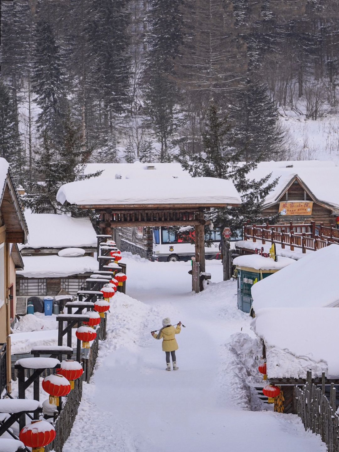 如果我去雪乡之前，刷到这篇攻略该多好‼️