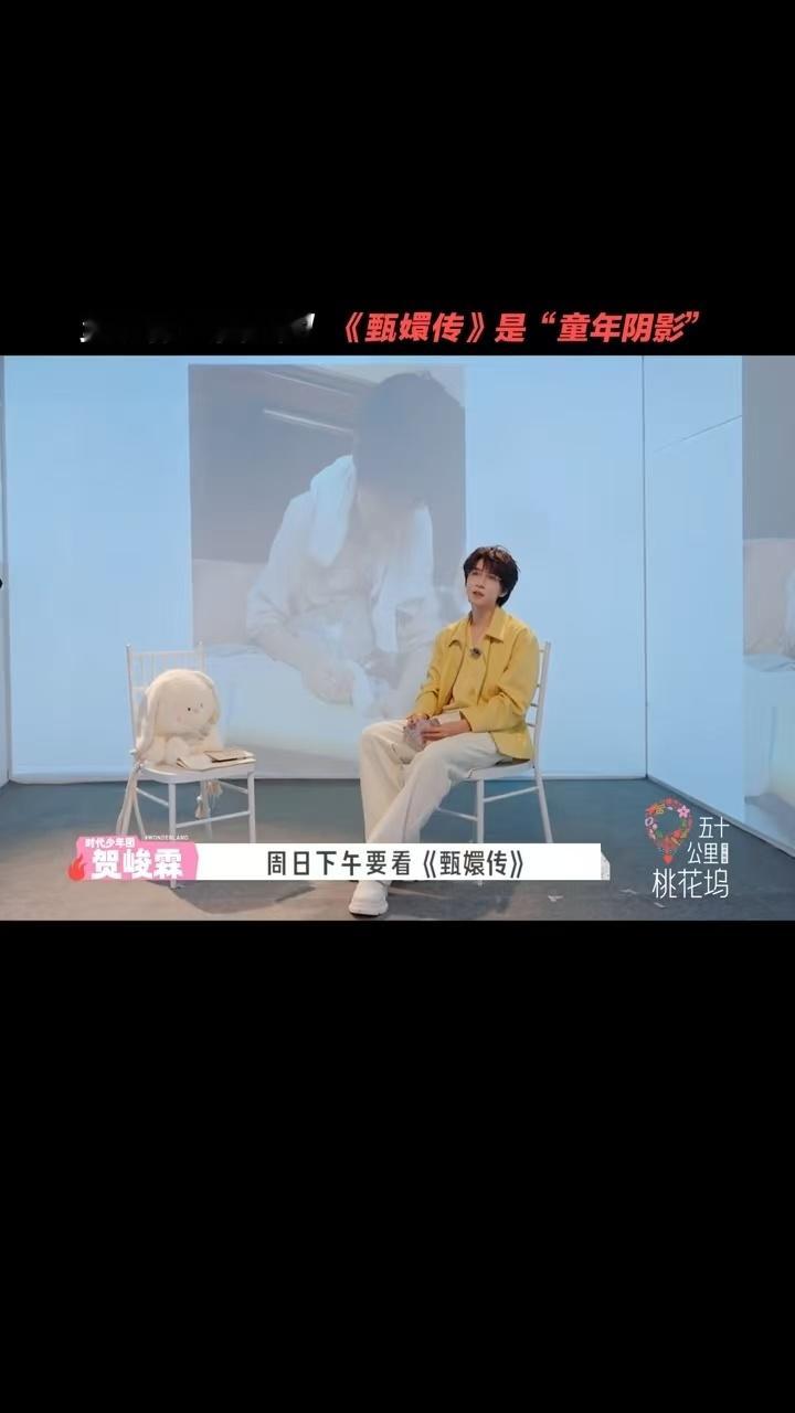 贺峻霖小时候特别不喜欢甄嬛传 桃花坞里贺峻霖的童年回忆杀！小时候爸妈为了追甄嬛传