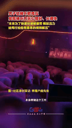 解释不清了！
​近日广西桂林，男子因为养猪实在无聊，就在猪舍中安装了一套音乐设备