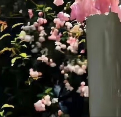 善良是一种修养，善待他人就是善待自己，要想得到别人的爱，首先要学会爱别人，一个善