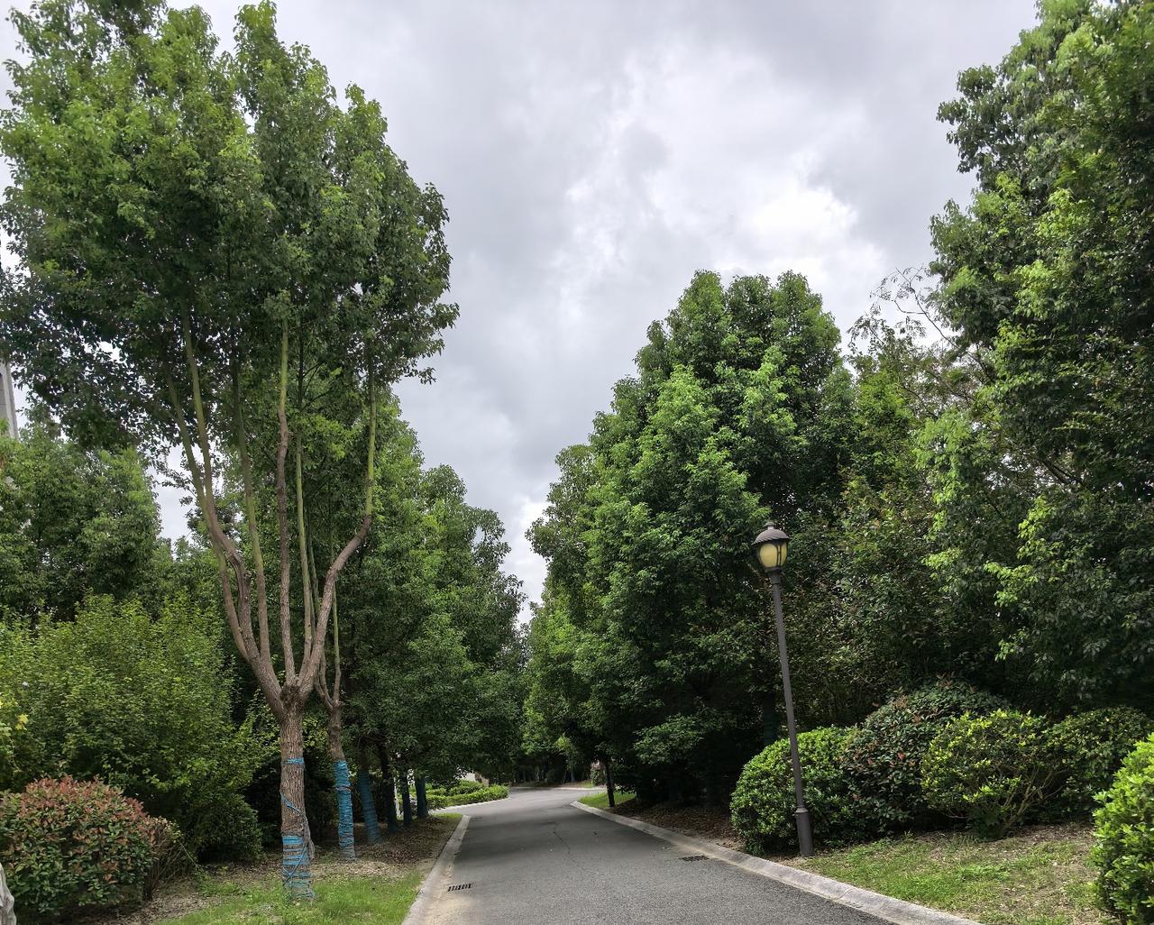 前面两场大比分赢了对手没有给球队带来信心，反而带来了一定的轻敌情绪。对困难准备也