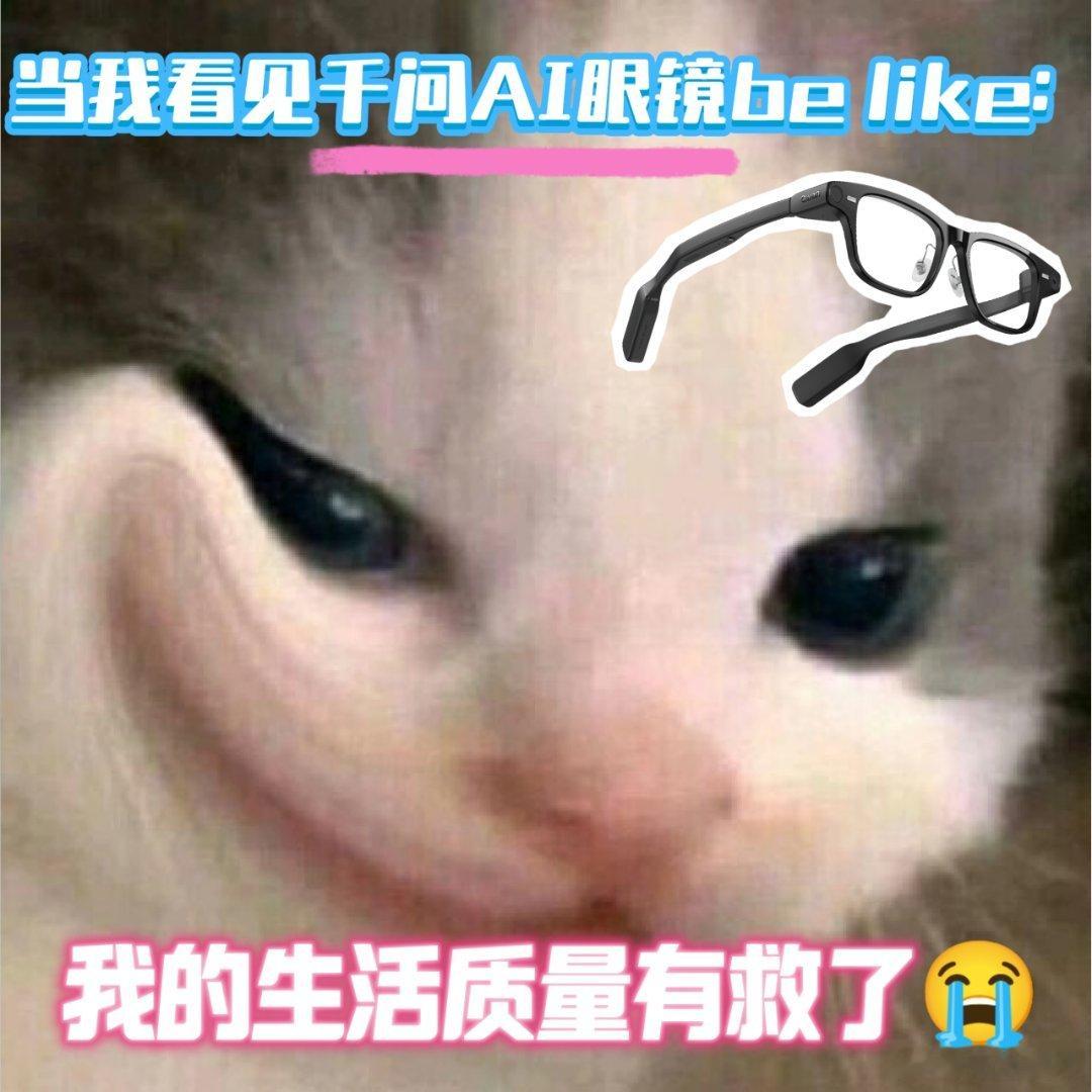 我的生活质量和精神质量千问眼镜618这波不冲亏大了，国补至高15%，晒单返200