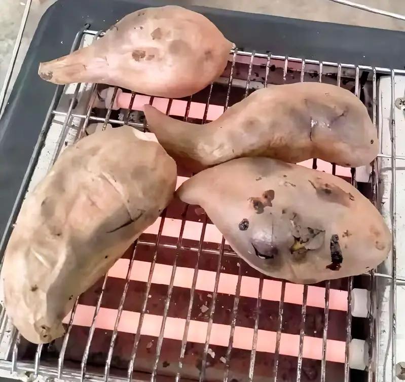 看望老人你会送现金还是礼物？

在这个快节奏、物质丰盈的时代，很多人面对“看望老