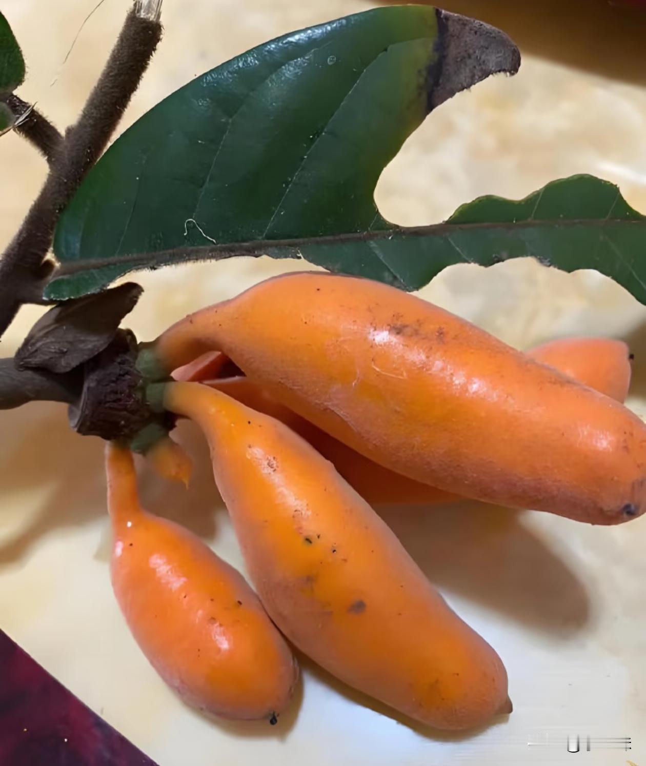 这是什么新出的水果吗？