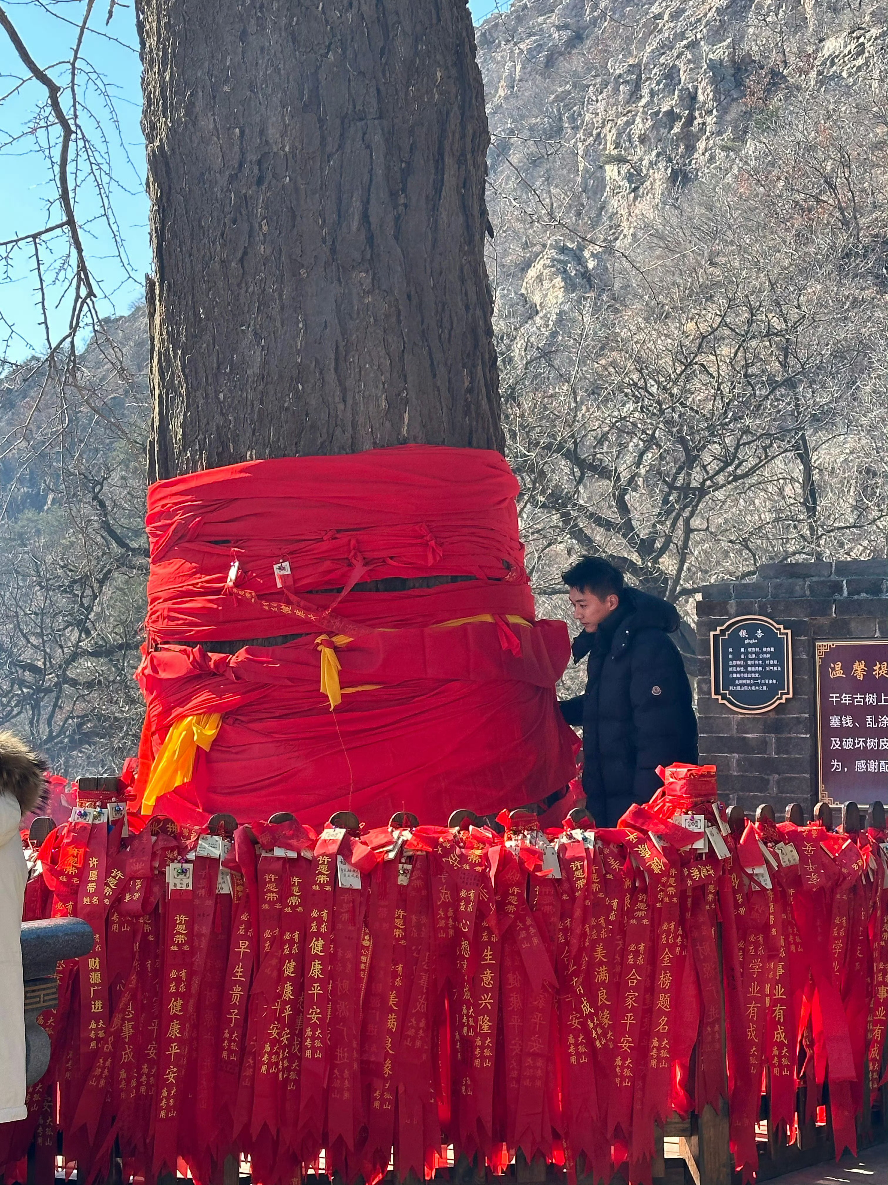 刘学义踏雪寻踪 25.2.24vs26.1.27 cw彩排+非公开行程 25年偶