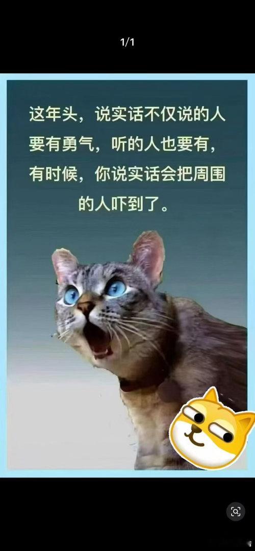 前两天发出来要得罪一大批人[捂脸][捂脸][捂脸]一一