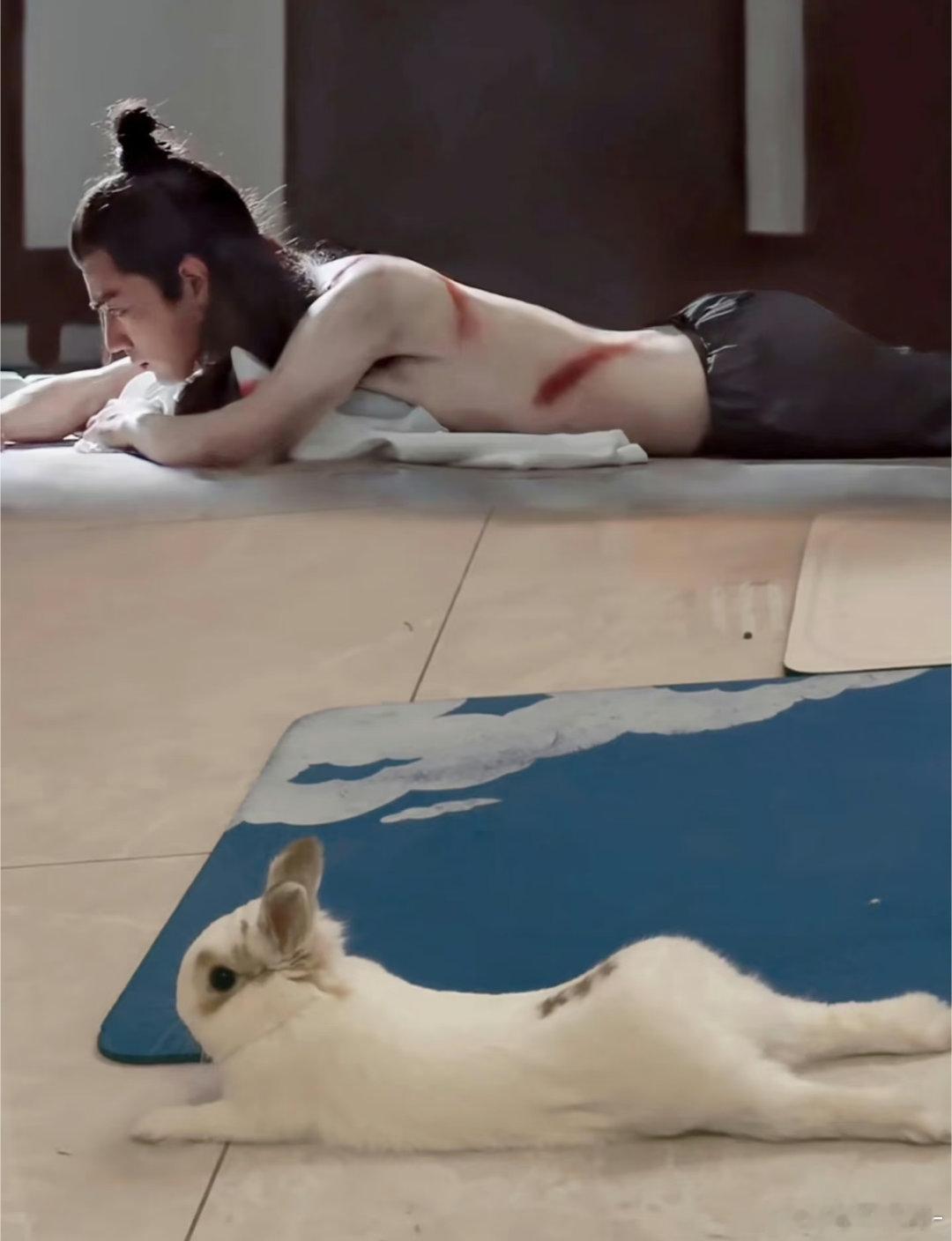 肖战的身材真的很曼妙