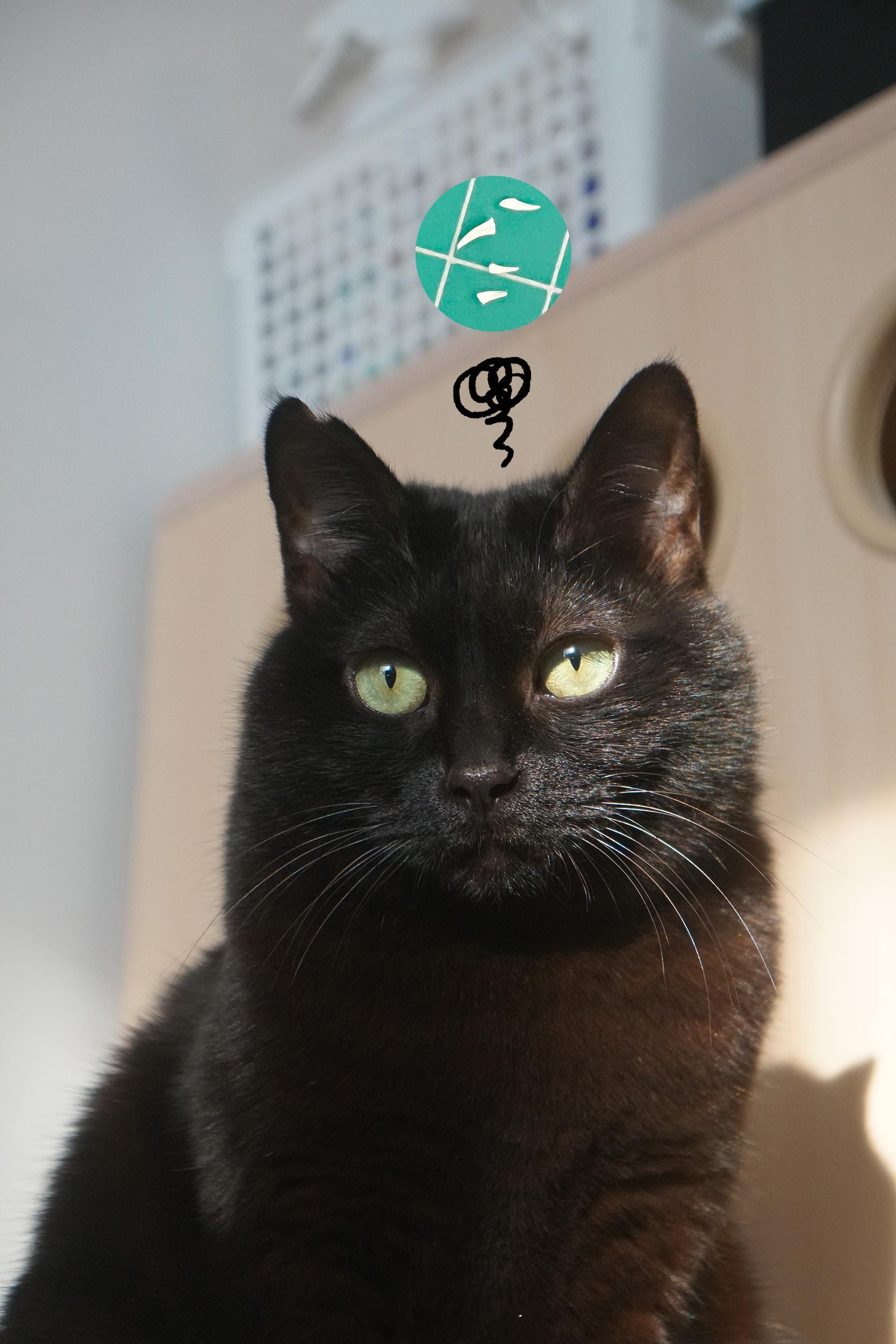 也就剪到四隻指甲她鬱悶我也鬱悶#蝦蝦不可以太可愛# ​​​