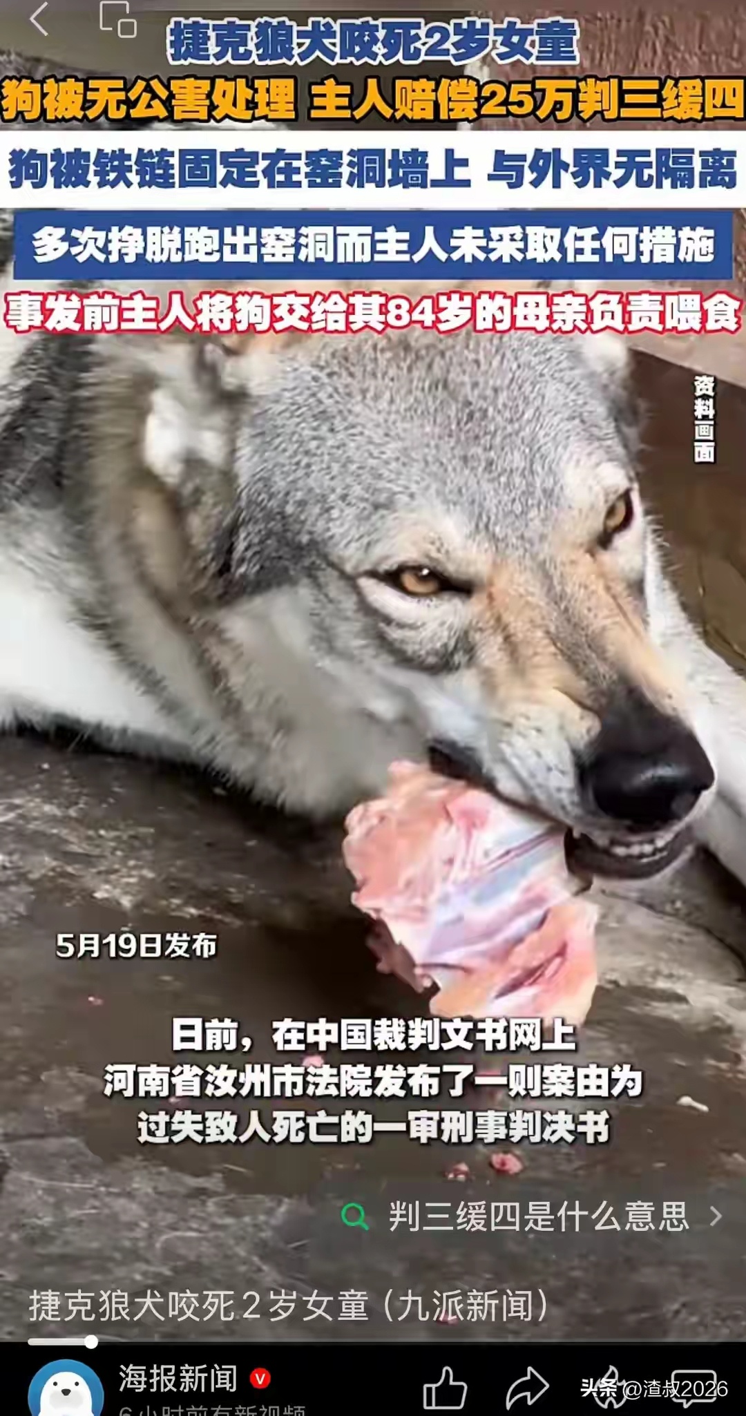 受害女童离世和狗主人违规养狗有着直接因果关系，狗主人清楚烈性犬攻击性强极易伤人，