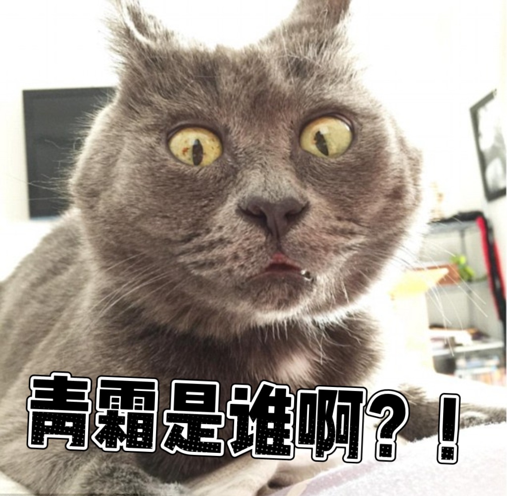 是不是啊，青霜，白鹿叶璃这句台词好像真的要出圈了，这是叶璃的台词，可以全网铺！大