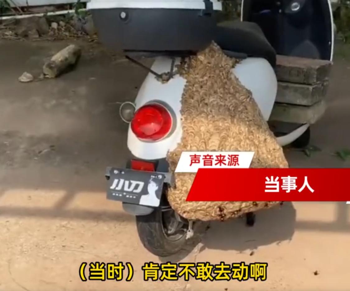 广东惠州，男子骑电动车出门办事。到了地方，看路边有片树荫，挺凉快，就把车往那一搁