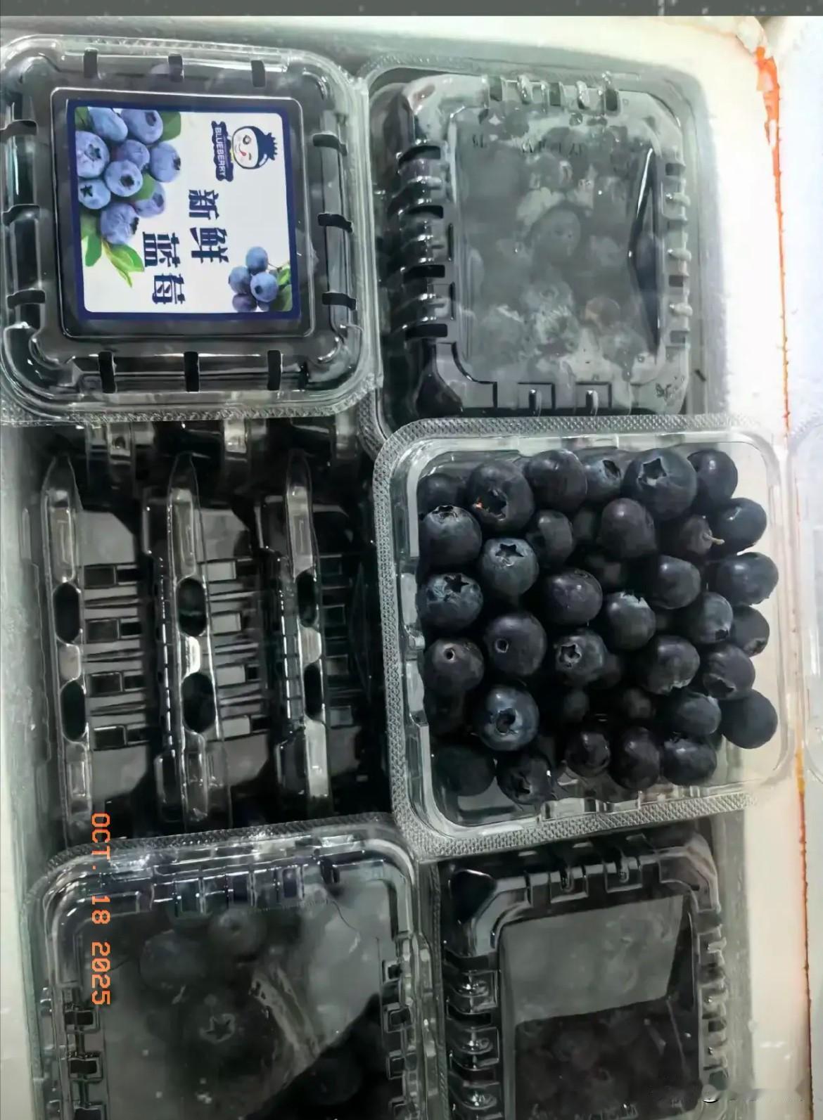 昨天，儿媳妇下班回家买了一件蓝莓回来，我寻思这么多也吃不完，于是我就给我小儿子送