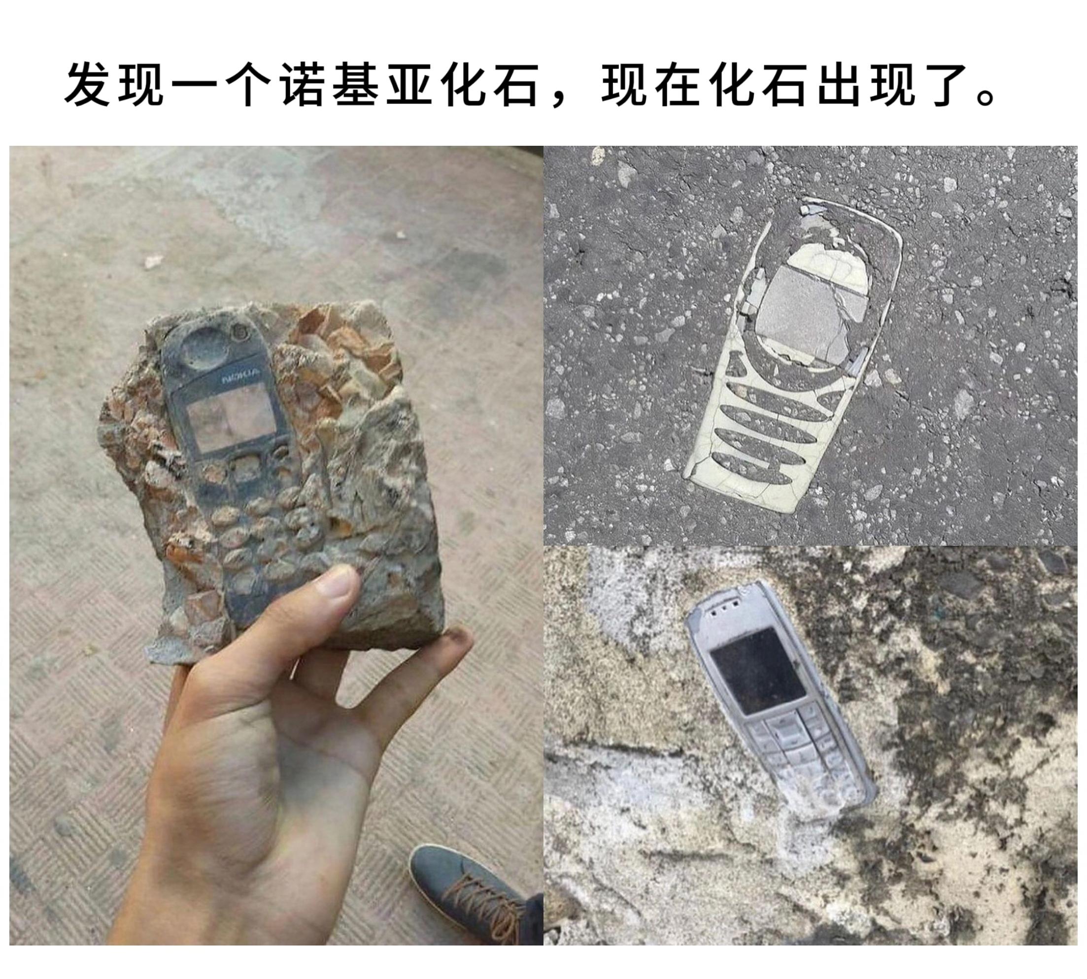 发现一个诺基亚化石，现代化石出现了。