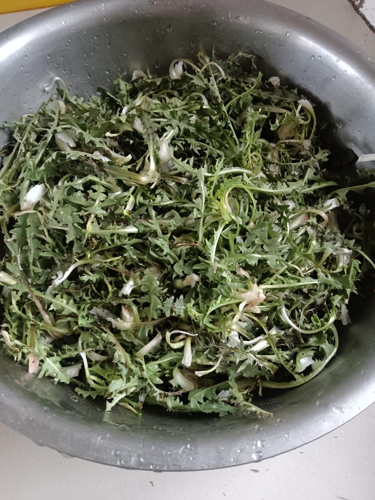 这两天回家干活上火了
今天去挖点婆婆丁
这是纯天然绿色食品
晚上蘸大酱吃撤撤火